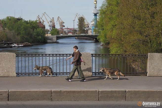 Дожди вернутся, но в основном будет тепло. Подробный прогноз погоды в Петербурге на неделю | Источник: Михаил Огнев / FONTANKA.RU