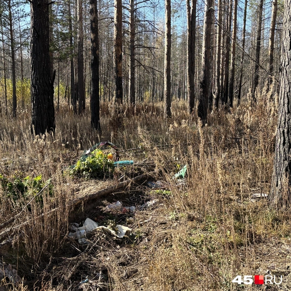 Источник: Кирилл Митин