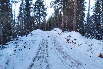 Таинственная дорога на Харлахтинский голец