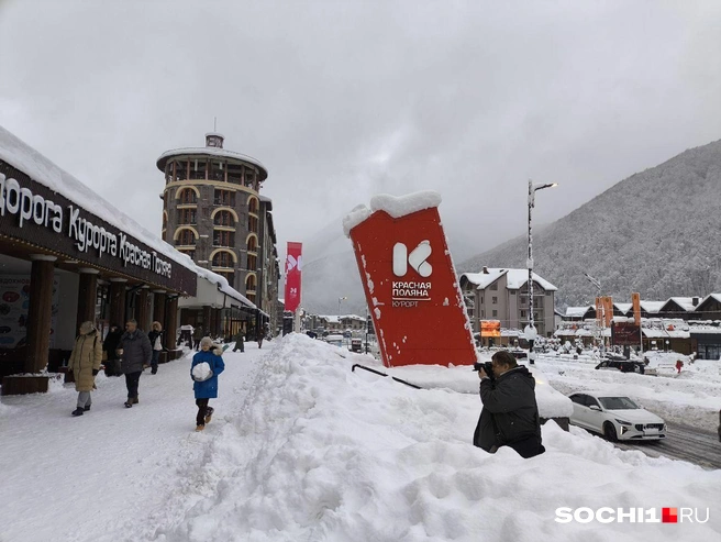 Эстосадок занесло  | Источник: Ирина Дружинина / SOCHI1.RU