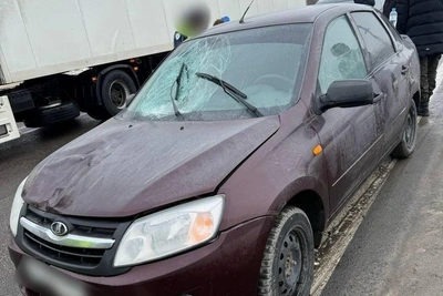 Женщина погибла на пешеходном переходе на трассе М-4 «Дон»