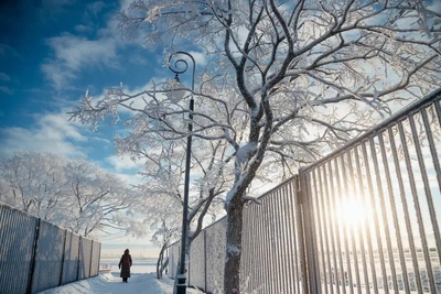 Arkhangelsk Oblast weekend temperatures to plunge near -40°C