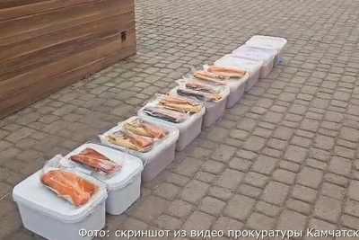 Суд над братом и сестрой за опасную икру