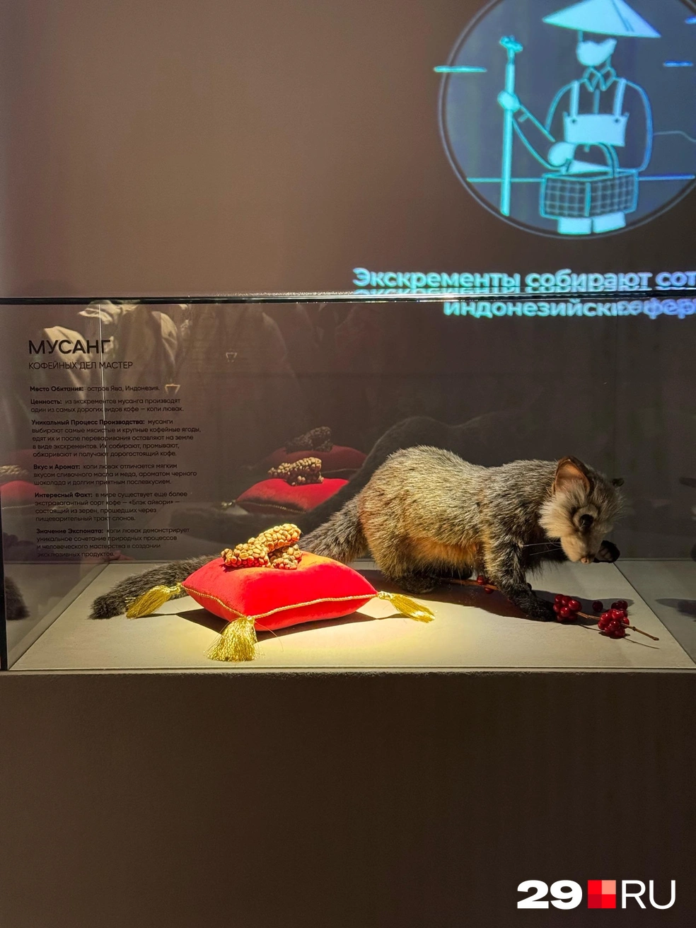 Источник: Валерия Богатырева / 29.RU