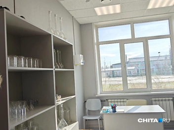 Источник: Тамара Ван-Фу-Ли / CHITA.RU