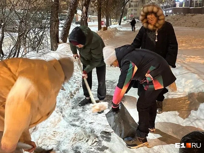 Десятки волонтеров выходят на улицы города, чтобы убрать отраву | Источник: читатель E1.RU