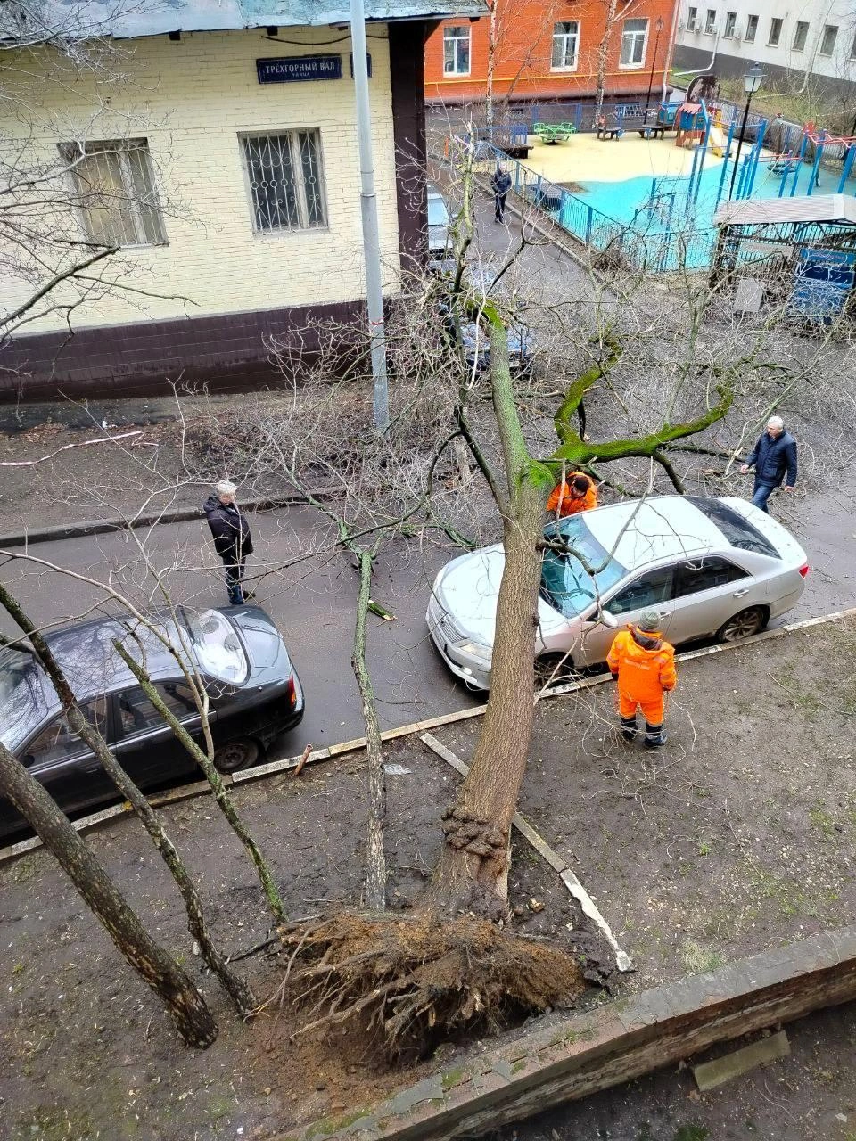 Ветер валит деревья, городские парки закрылись. Москву накрыл девятибалльный шторм: онлайн-трансляция | Источник: Осторожно, Москва / Telegram