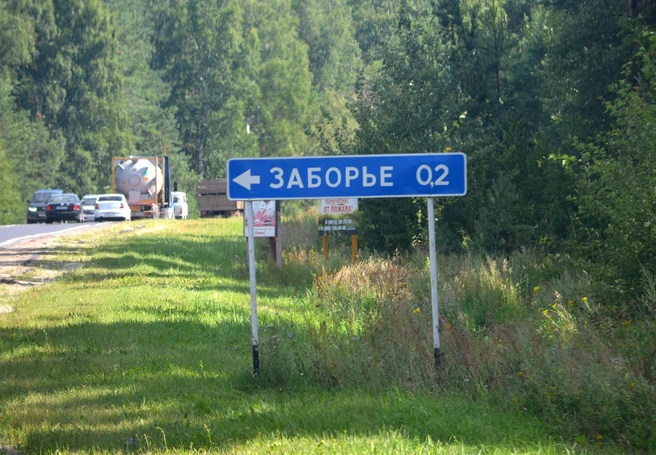 Житель Заборья сообщил о двух трупах, найденных в лесу | ya62.ru