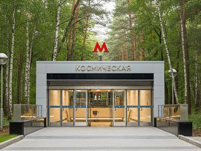 Новый жилмассив планируют рядом с микрорайоном Родники у будущей станции метро | Источник: Юрий Орлов / Городские медиа