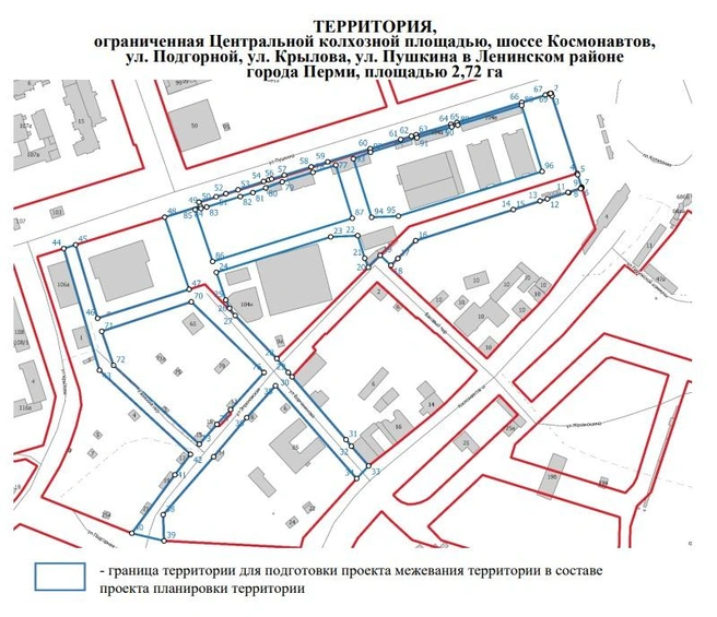 На схеме указаны границы участка для межевания | Источник: Минимущества Пермского края