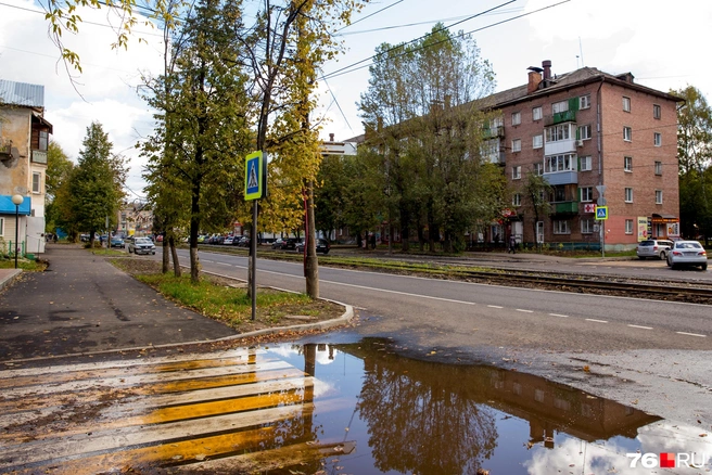 На Пятерке много зеленых зон и свободных участков с деревьями&nbsp;— архитекторы делали это специально ради комфорта людей | Источник: Кирилл Поверинов / 76.RU