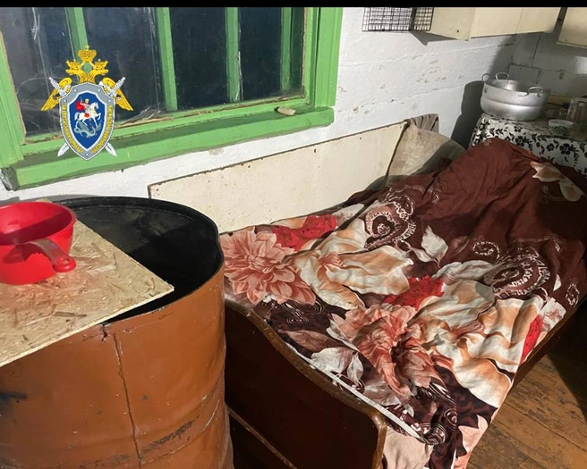 Малыш залез на диван и упал в бочку | Источник: пресс-служба СУ СКР по Забайкальскому краю