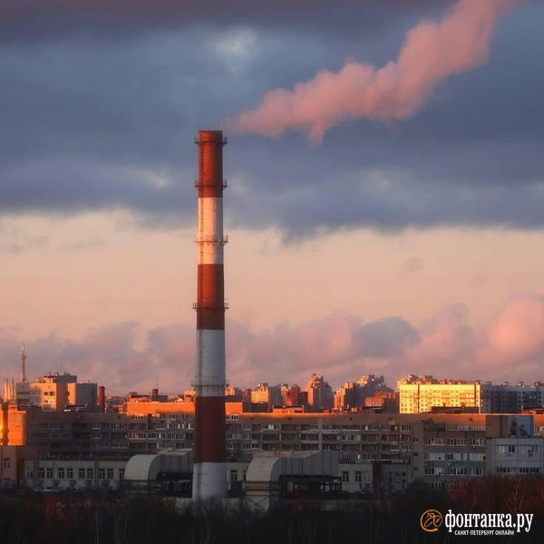 Источник: Дарья Драй / FONTANKA.RU