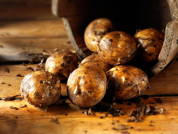 Корнеплодный вопрос: 3 занимательных факта о картошке и простой рецепт вкусного картофельного супа