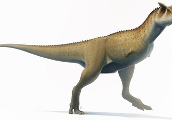 Монстр с крошечными ручками: в Аргентине открыли новый вид динозавров