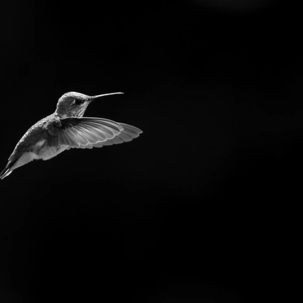 Источник: Geffrard Bourke / Exposure One Awards 2025