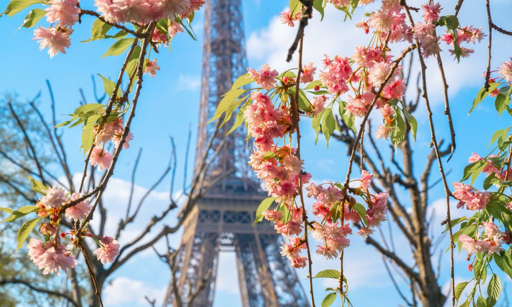 Весна во франции