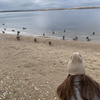 userpic__Амальтея✨