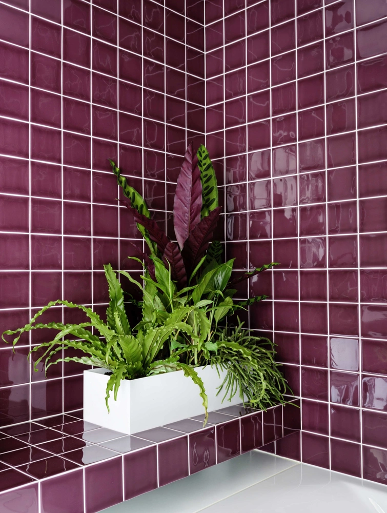 Практика красоты (фото 0) | Источник: михаил лоскутов