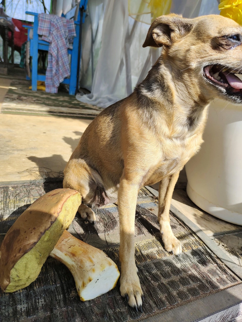 Источник: Зарема Плотникова