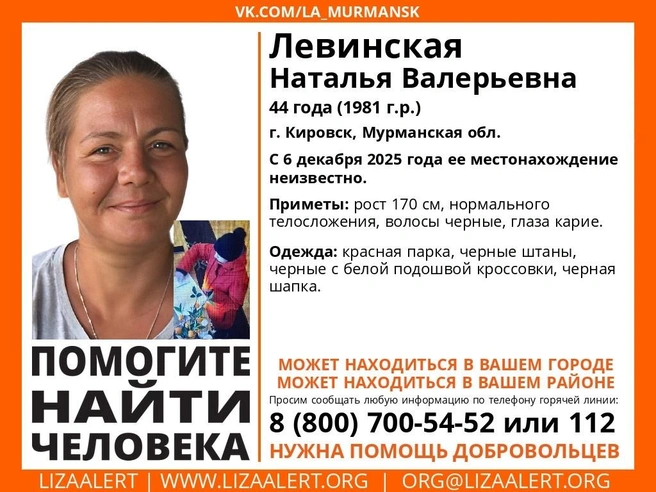 Источник: поисковый отряд «ЛизаАлерт» Мурманской области / Vk.com