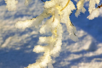 Изморозь сохраняется в Ольском муниципальном округе