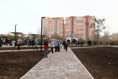 В парке МЖК Читы высадят подрощенные местные деревья