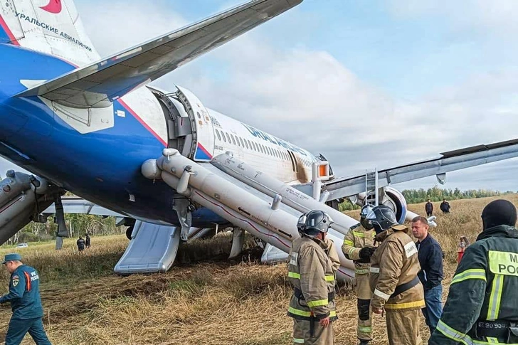 Чудо на пшеничном поле: рейс «Сочи — Омск» экстренно сел из-за нехватки топлива — все живы!