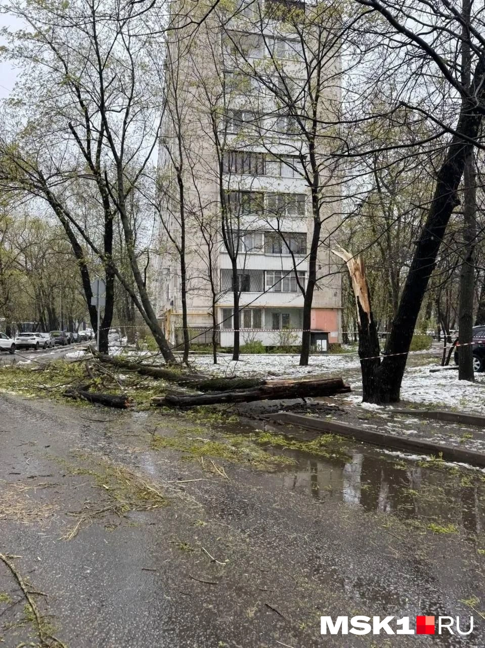 Картина из района Выхино. 28 апреля 2026 года | Источник: Софья Чатинян / MSK1.RU