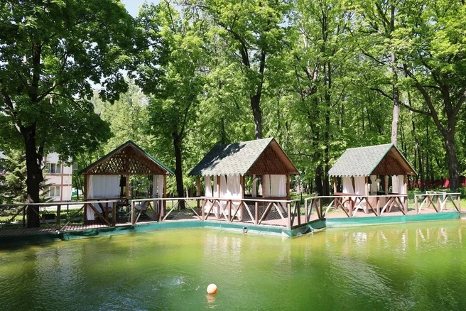 Рыбный ресторан у водоема | Источник: parkhoteldubrava.ru