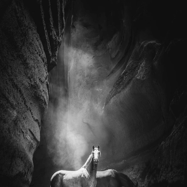 Источник: Katarzyna Okrzesik-Mikolajek / International Photography Awards 2025