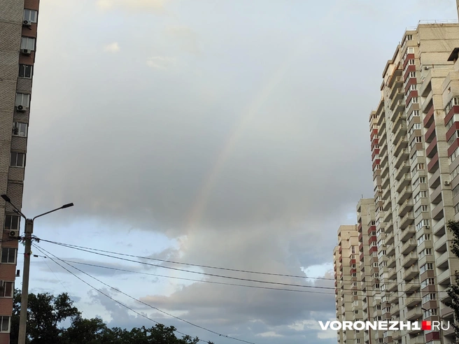 Источник: читатель Voronezh1.ru