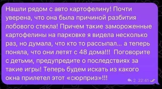 Владелица машины попросила родителей поговорить со своими детьми | Источник: читатель 74.RU