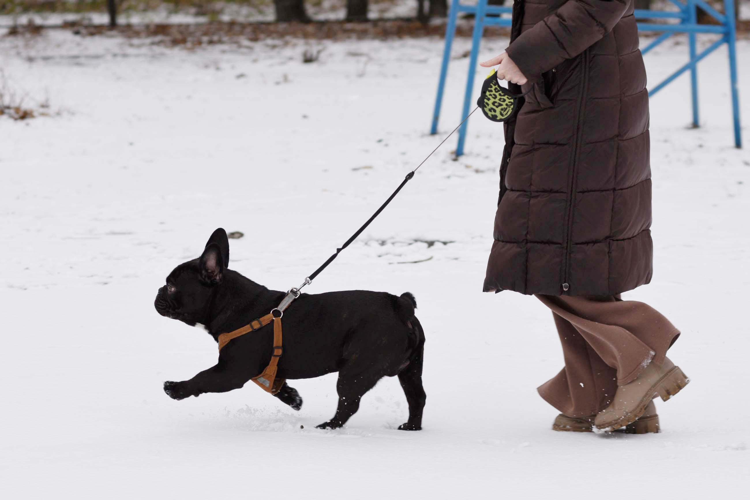 А вот и снег! Курган стал нарядным и кружевным, но ненадолго — фото