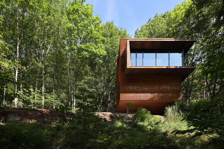 Радикальный модернизм: дом в канадском лесу из стали