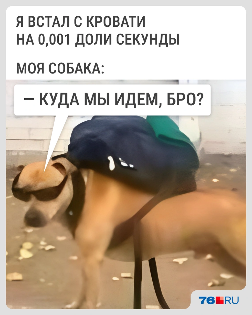 В любое время суток готов | Источник: Городские медиа
