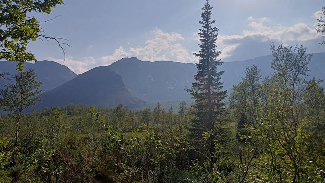 Источник: архив Эльвиры Айнетдиновой