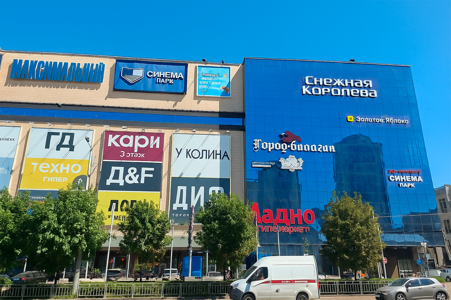 Источник: Алёна Воропаева, Серафима Пантыкина / Voronezh1.ru