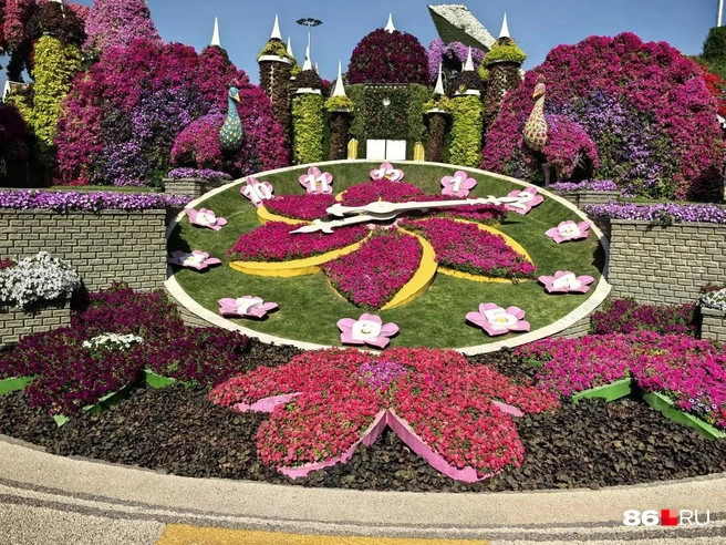 Яркие краски будут греть вас еще долго после возвращения домой | Источник: Анастасия Шевякова / 86.RU