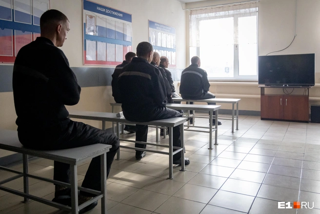 Омичи оставили свои отзывы  | Источник: Владислав Лоншаков / E1.RU 