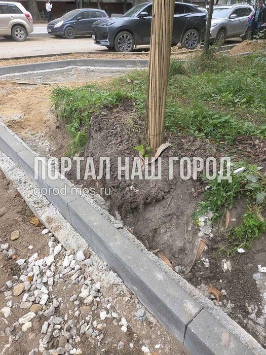 Женщина прикрепила фотографию к жалобе | Источник: gorod.mos.ru