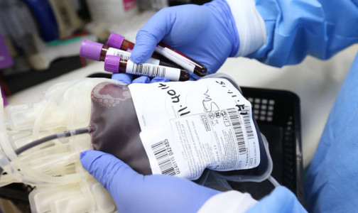 Пандемия «снизила» объемы заготовки донорской крови в Петербурге. Число желающих поделиться кровью, наоборот, выросло