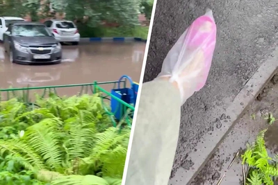«Хоть бы по пояс не утонуть»: красноярка переплыла затопленный двор