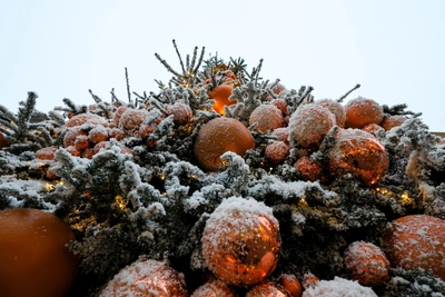 На открытие елки в Барнауле установят металлоискатели и введут запреты