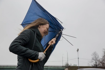 МЧС предупреждает ярославцев о сильном ветре и рисках