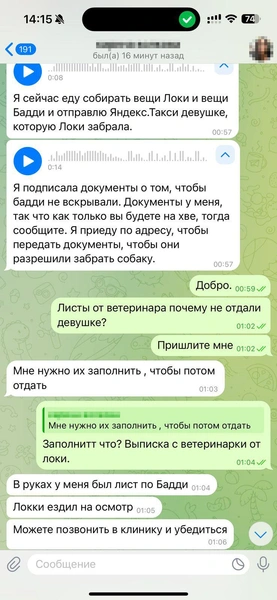 В день, когда все случилось, Родион был на нервах. Это видно по переписке | Источник: Родион Проводин