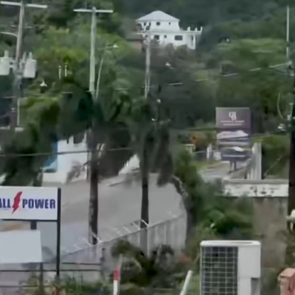 Источник: кадр из видео Channel 4 News