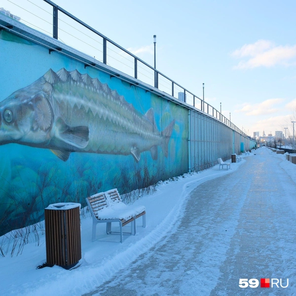 Стена с морскими обитателями контрастирует с заснеженными дорожками | Источник: Тимофей Калмаков / 59.RU