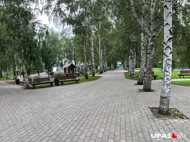 Обычный парк | Источник: Андрей Бирюков / UFA1.RU