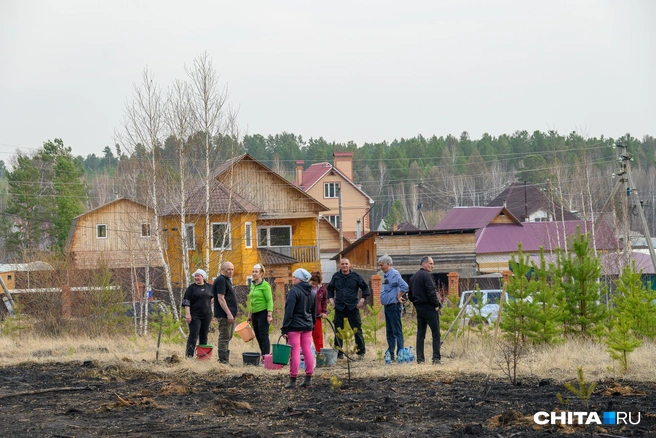 Огонь остановили рядом с дорогой и домами | Источник: Олег Фёдоров / CHITA.RU